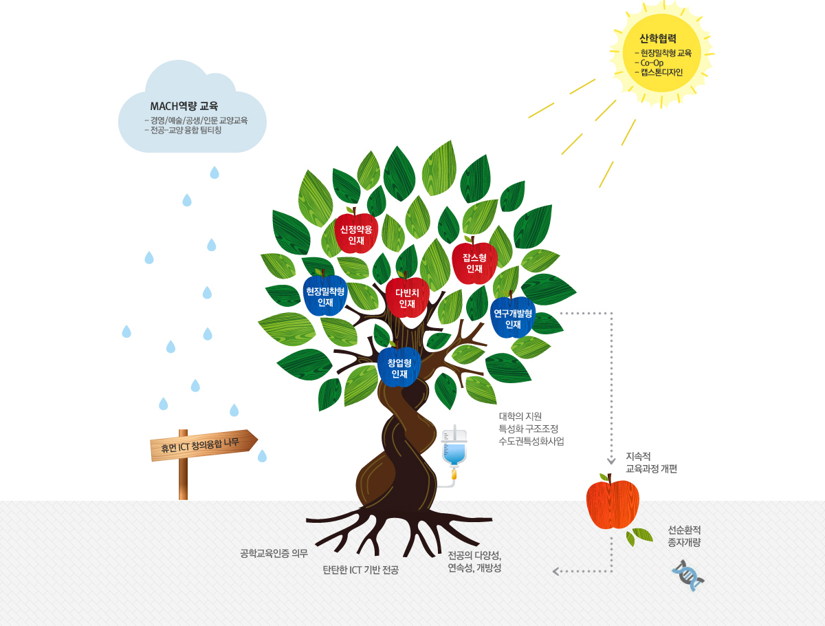 그림 : 휴먼ICT창의융합나무의 그림. MACH역량교육의 비가 내리고 산학협력의 햇빛이 내리쬔다. MACH역량 교육 : 경영/예술/공생/인문 교양교육, 전공-교양 융합 팀티칭. 산학협력 : 현장밀착형 교육, Co-Op, 캡스톤디자인. 휴먼 ICT창의융합나무에는 신정약용인재, 현장밀착형인재, 다빈치인재, 잡스형인재, 연구개발형 인재, 창업형 인재의 열매가 열려 있다. 땅에서 공학교육인증 의무, 탄탄한 ICT기반 전공, 전공의 다양성, 연속성, 개방성을 흡수하고 대학의 지원, 특성화 구조조정, 수도권 특성화사업의 영양분을 준다. 나무에서 나온 열매는 지속적 교육과정 개편이라는 선순환적 종자개량을 거친다.